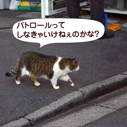 130226.jpg
