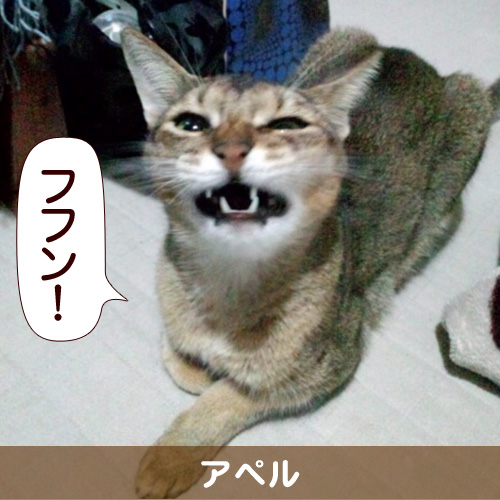 130228_touko.jpg