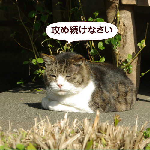 130305.jpg
