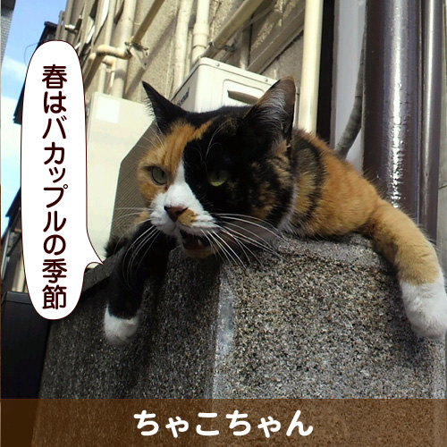 130305_touko.jpg