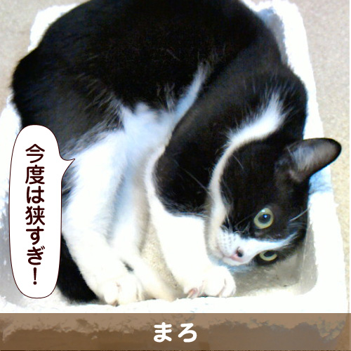 130306_touko.jpg