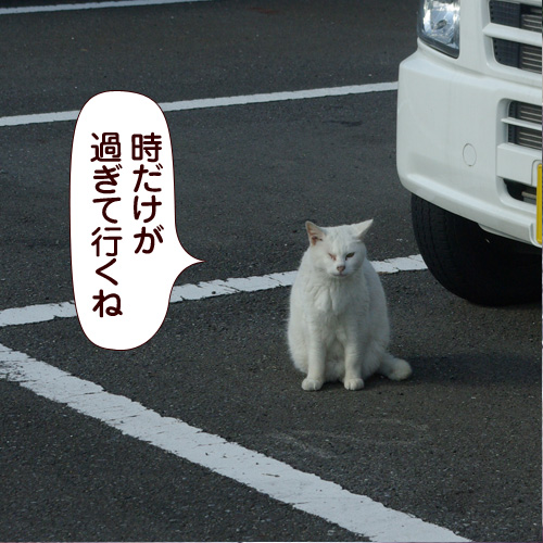 130310.jpg