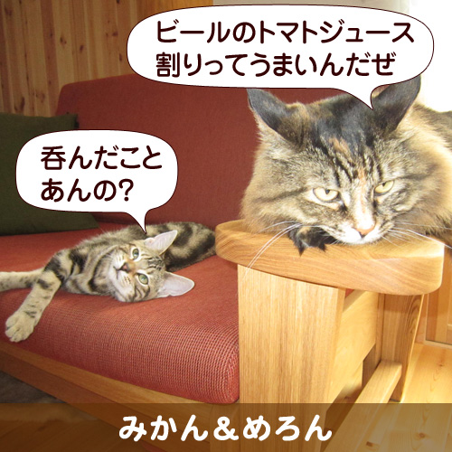 130311_touko.jpg