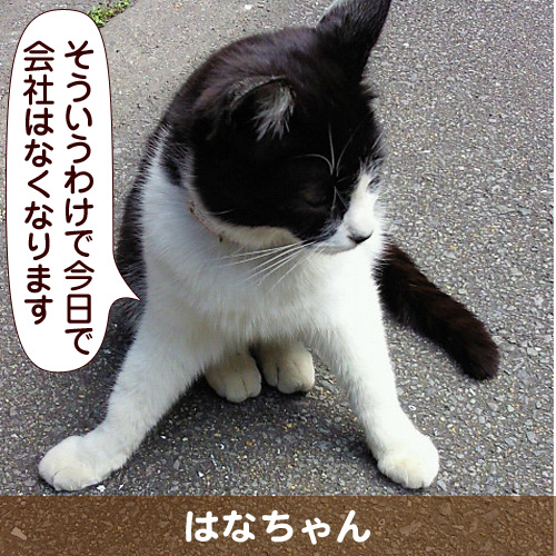 130312_touko.jpg