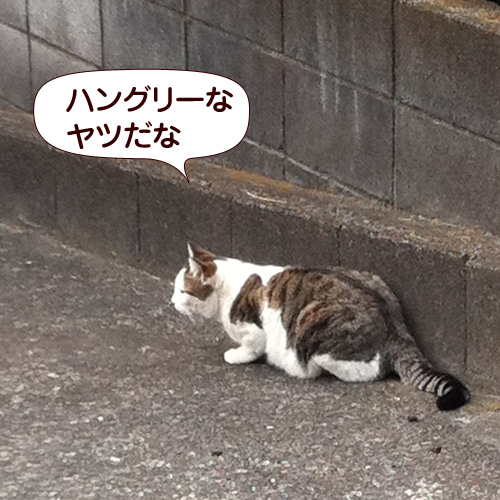 130314.jpg