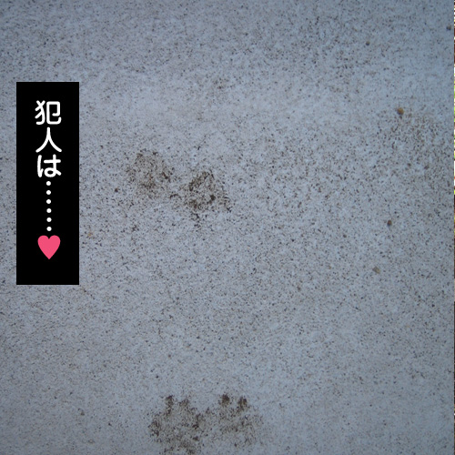 130320.jpg
