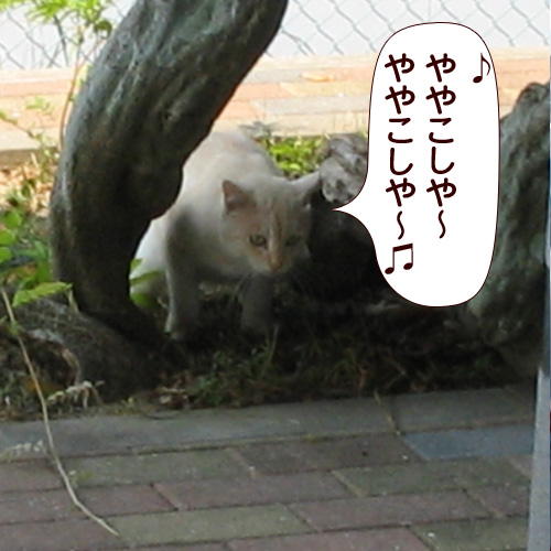 130327.jpg