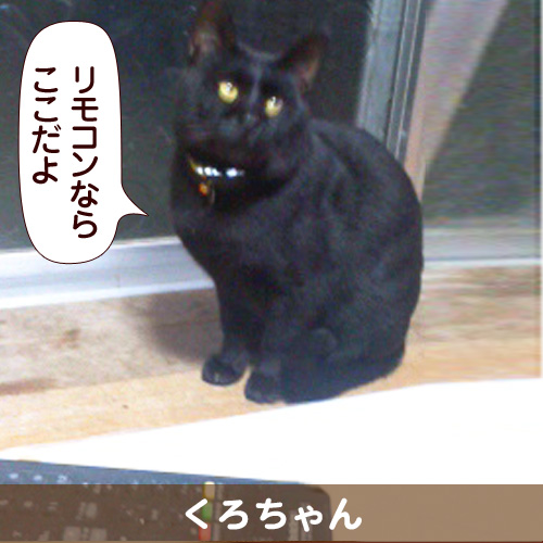 130330_touko.jpg