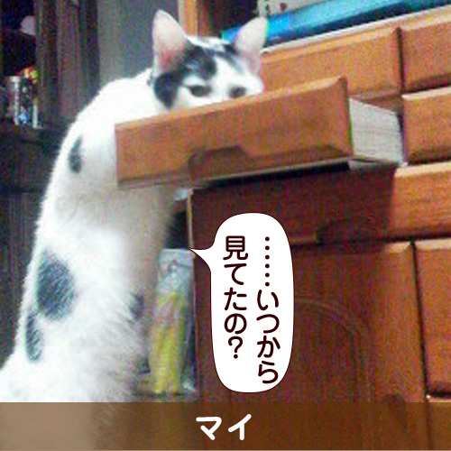 130404_touko.jpg