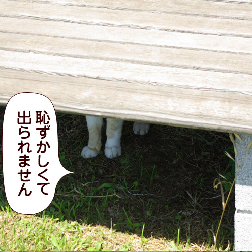 130405.jpg