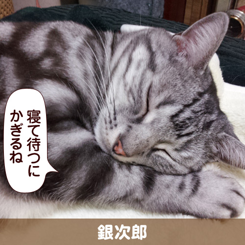 130405_touko.jpg