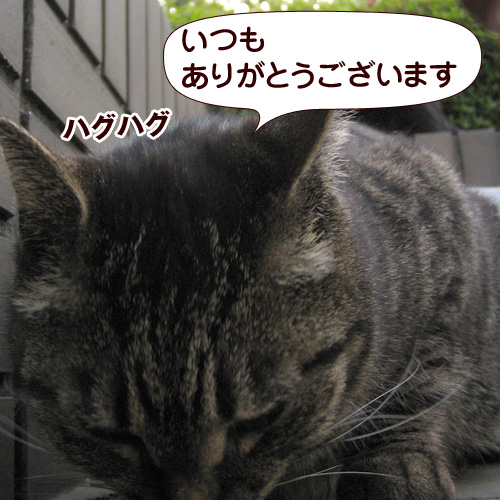 130415.jpg