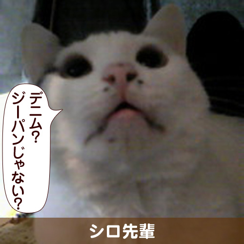 130415_touko.jpg