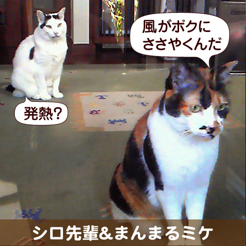 130422_touko.jpg