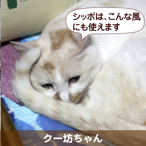 130425_touko.jpg