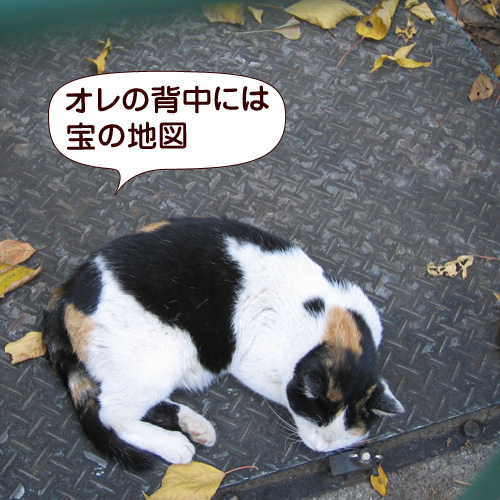 130428.jpg