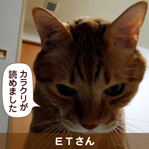 130501_touko.jpg