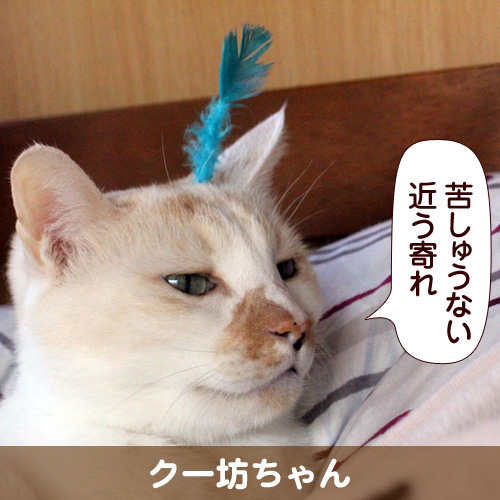 130505_touko.jpg