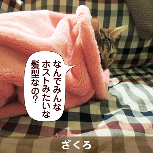 130508_touko.jpg