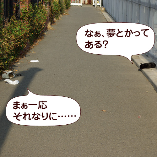 130510.jpg