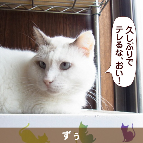 130510_touko.jpg