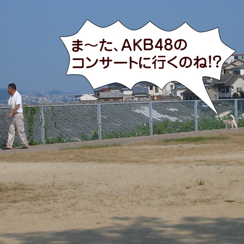 130511.jpg