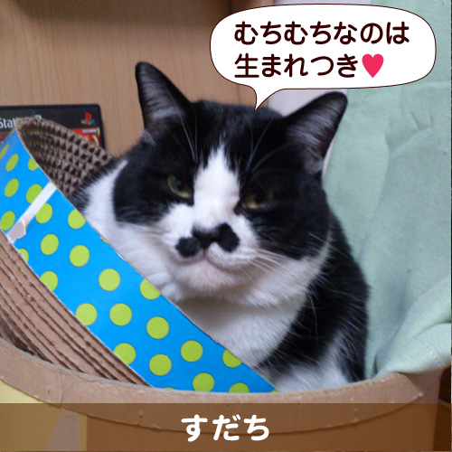 130511_touko.jpg