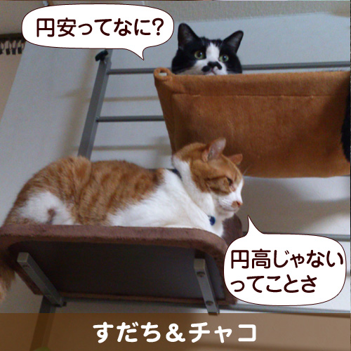 130512_touko.jpg