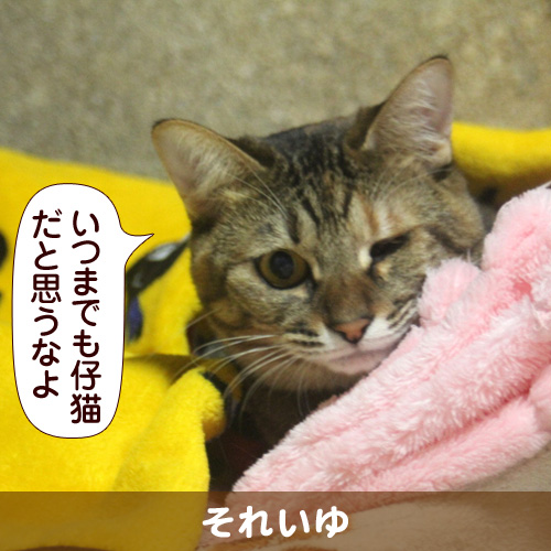 130513_touko.jpg