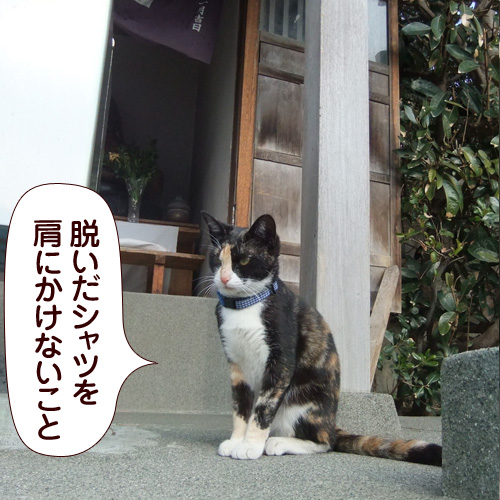 130516.jpg