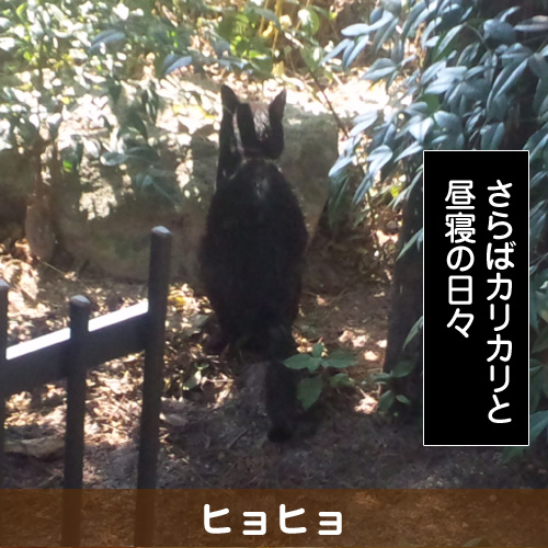 130516_touko.jpg