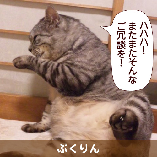 130517_touko.jpg