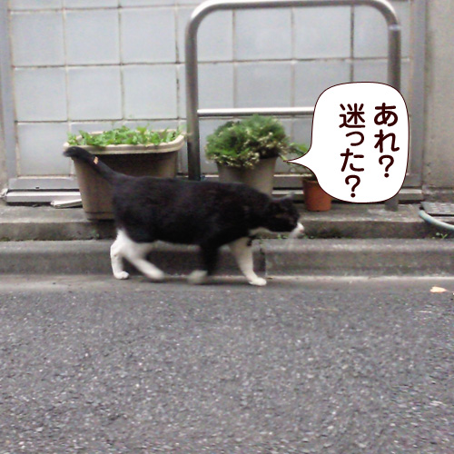 130524.jpg
