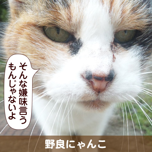 130528_touko.jpg