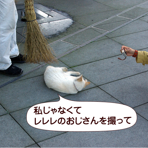 130602.jpg