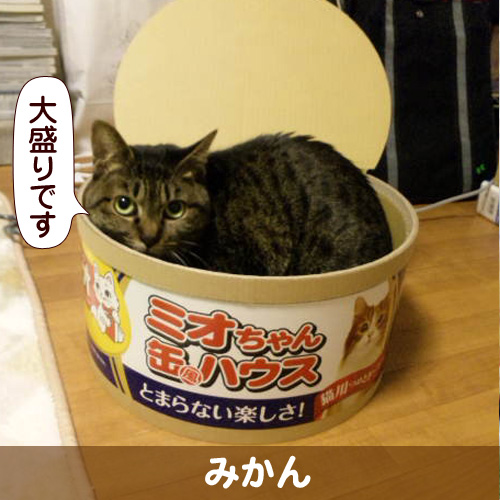 130604_touko.jpg
