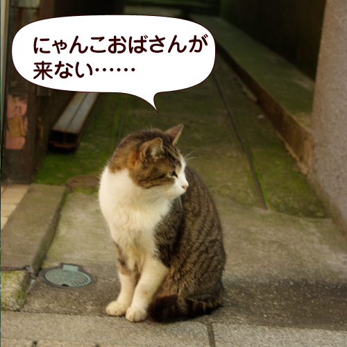 130606.jpg