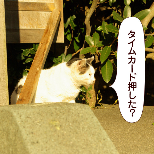 130607.jpg