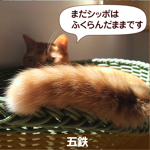 130609_touko.jpg