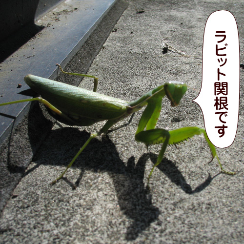 130610.jpg