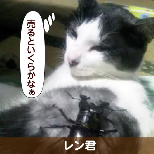 130610_touko.jpg