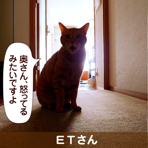 130615_touko.jpg
