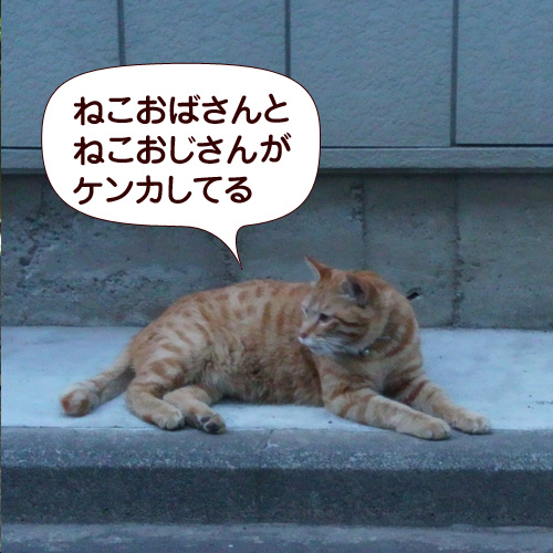 130624.jpg