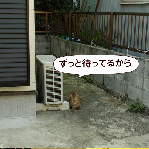130626.jpg