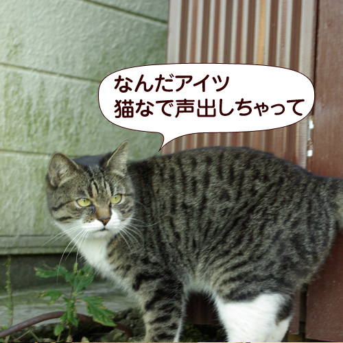 130627.jpg