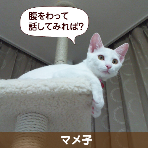 130627_touko.jpg