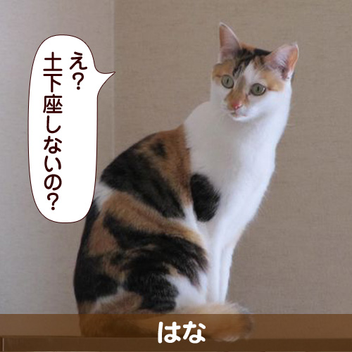 130628_touko.jpg