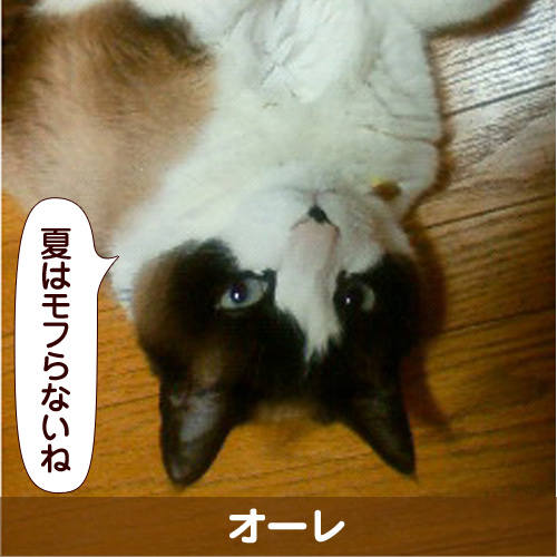 130701_touko.jpg
