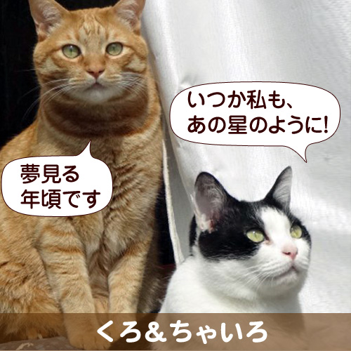130702_touko.jpg