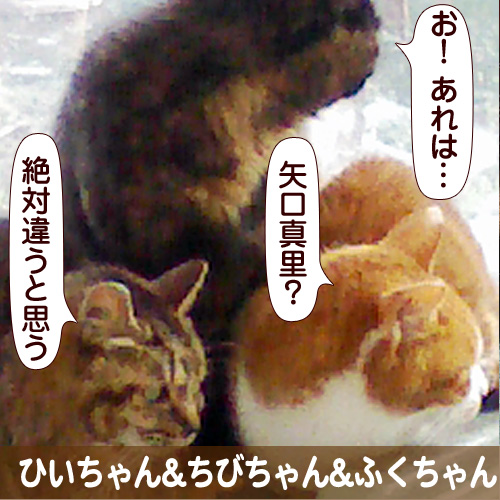 130710_touko.jpg